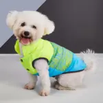 Three-Color Patchwork Padded Pet Coat for Cold-Weather Wear – gallery image 13