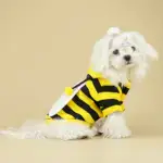 Bee Costume Hoodie for Small Dogs for Warm Wear in Cool Weather with Pullover Design – gallery image 8