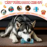 Squeaky Dog Chew Toy for Sound-Activated Play and Chewing – gallery image 9