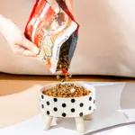 Elevated Pet Feeding Bowl for Eating & Drinking with Raised Stand Design – gallery image 6