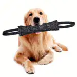 Durable Dog Bite Stick for Chewing & Tug Play with Dual Handles – gallery image 3