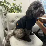 High-Neck Pet Cuffs for Neck Coverage & Warmth, Textured Fabric – gallery image 3