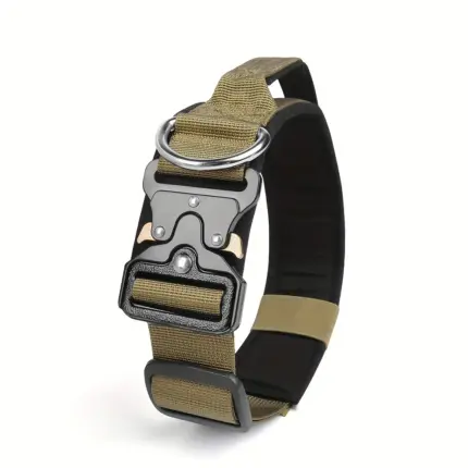 b9bbd2d4-790d-4d8b-8450-ce6bc3d88444