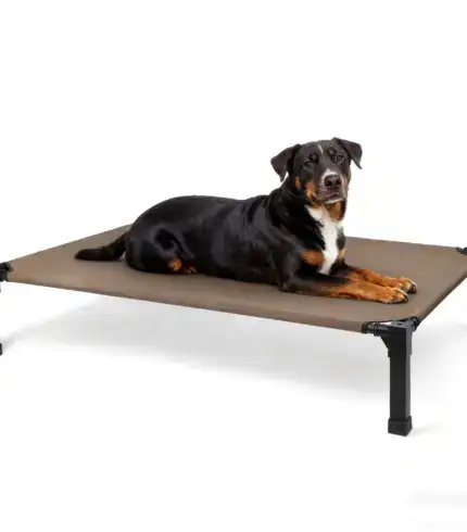 babdd400-06cc-448b-91d9-232d98cdb22f