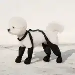 Dog Paw Boot Leggings for Outdoor Walking in Wet Weather with Anti-Slip Sole – gallery image 10