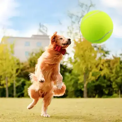 bb4065c4-68e3-4fd3-9a1e-11e7bb54a4ae