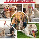 Dog Chew Toy for Chewing & Teething with Nylon and Rubber Construction – gallery image 13