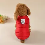 Dog Winter Jacket for Cold-Weather Wear with Colorful Design – gallery image 10
