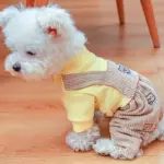 Small Dog Jumpsuit for Pet Wear & Coverage with Knit Polyester and Snap Button Closure – gallery image 8
