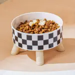 Elevated Pet Feeding Bowl for Eating & Drinking with Raised Stand Design – gallery image 8