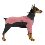 Dog Bodysuit for Warmth & Shedding Control with Contrast Color Design – gallery image 8