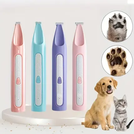 c5405923-751a-44d1-a4af-9a11e2a29cfd