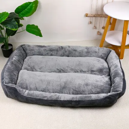 c5f31c8a-fee8-4146-adaa-5f1b65b93b8b