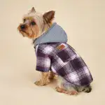 Hooded Color-Block Pet Jacket for Outdoor Wear in Cool Weather and Machine-Washable Design – gallery image 5