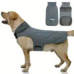 Winter Dog Coat for Cold Weather with Reflective Trim and Adjustable Fit – gallery image 13
