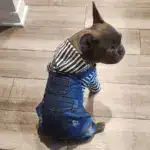 Pet Jumpsuit Outfit for Spring and Summer Wear, Striped Denim-Style Design – gallery image 2