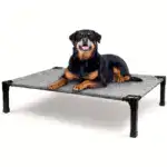 Cooling Elevated Dog Bed for Pet Resting with Breathable Mesh Surface and Metal Frame – gallery image 29