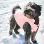 Thickened Dog Vest for Cold Weather Wear and Outdoor Use – gallery image 14