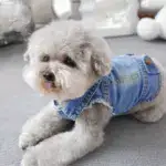 Vintage Imitation Denim Sleeveless Pet Vest for Spring and Autumn Wear – gallery image 8