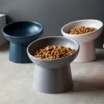 Elevated Inclined Ceramic Cat Bowl for Feeding and Drinking – gallery image 6