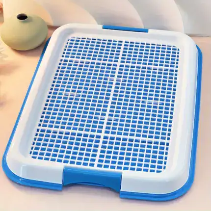 cc85fd8b-8350-4eb2-b5dd-142b1e2d6105