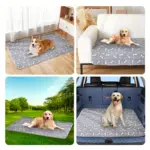 Washable Dog Pee Pad for Potty Training & Indoor Accidents with Leak-Resistant Backing – gallery image 2