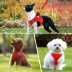 Soft Padded Dog Harness for Walking & Control with Breathable Mesh and Reflective Trim – gallery image 12
