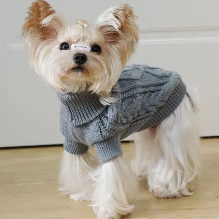 d1d4cbe1-bf76-456d-a293-d80b6ffdd44b