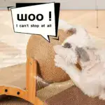 2-in-1 Cat Scratching Post for Scratching & Play with Sisal Surface and Hanging Ball – gallery image 11