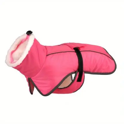 d5665857-901f-4bbc-bed4-75696832c68c_800x800