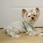 Pet Sweater for Dogs and Cats with High Neck, Pullover Style – gallery image 3