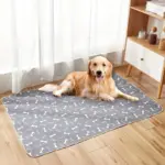 Washable Dog Pee Pad for Potty Training & Indoor Accidents with Leak-Resistant Backing – gallery image 10