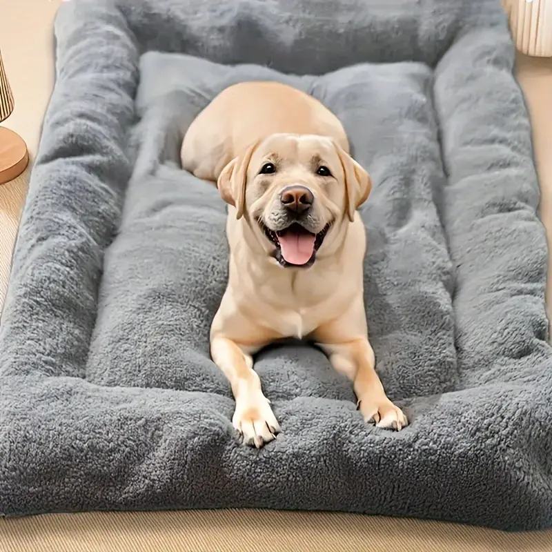 da6850812be446eb806497919088ff16-goods Plush Pet Bed for Resting & Lounging with Thick Cushioned Polyester Mat – main image