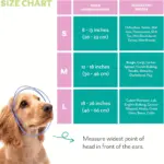 Knitted Pet Dog Hat for Wind Protection & Warmth, Green Elf Style – gallery image 4