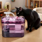 1.5L Cat Water Dispenser for Circulating & Filtered Drinking Water – gallery image 2