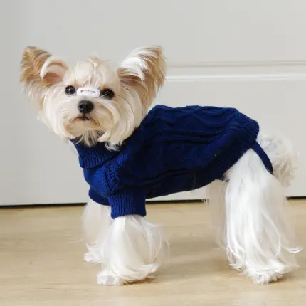 dfd5131d-21fb-4ca5-b5db-a77a3a6bd184