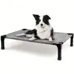 Cooling Elevated Dog Bed for Pet Resting with Breathable Mesh Surface and Metal Frame – gallery image 28
