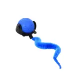 Interactive Automatic Rolling Pet Toy Ball for Motion-Activated Play & Activity – gallery image 8