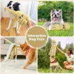 Squeaky Octopus Plush Dog Toy for Chewing and Interactive Play with Soft Stuffed Design – gallery image 10