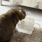 Automatic 1.5L Pet Water Fountain for Dispensing Filtered Drinking Water, Indoor Use – gallery image 5