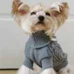 Dog Hooded Sweater for Warmth & Everyday Wear, Knit Pullover with Twisted Flower Detail – gallery image 6