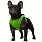 Soft Padded Dog Harness for Walking & Control with Breathable Mesh and Reflective Trim – gallery image 13