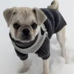 Pet Turtleneck Sweater for Warmth & Everyday Wear, Thick Knit Pullover – gallery image 2