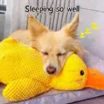 Large Plush Duck Dog Toy for Chewing & Interactive Play with Squeaker – gallery image 5