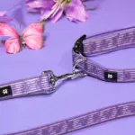 Dog Travel Harness for Walking & Restraint with Adjustable Length and Snug Fit – gallery image 11
