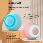 Automatic Interactive Cat Ball for Self-Play & Chasing with Obstacle Avoidance Design – gallery image 12