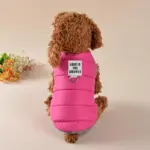 Dog Winter Jacket for Cold-Weather Wear with Colorful Design – gallery image 14