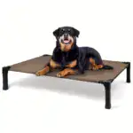 Cooling Elevated Dog Bed for Pet Resting with Breathable Mesh Surface and Metal Frame – gallery image 13