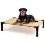 Cooling Elevated Dog Bed for Pet Resting with Breathable Mesh Surface and Metal Frame – gallery image 19