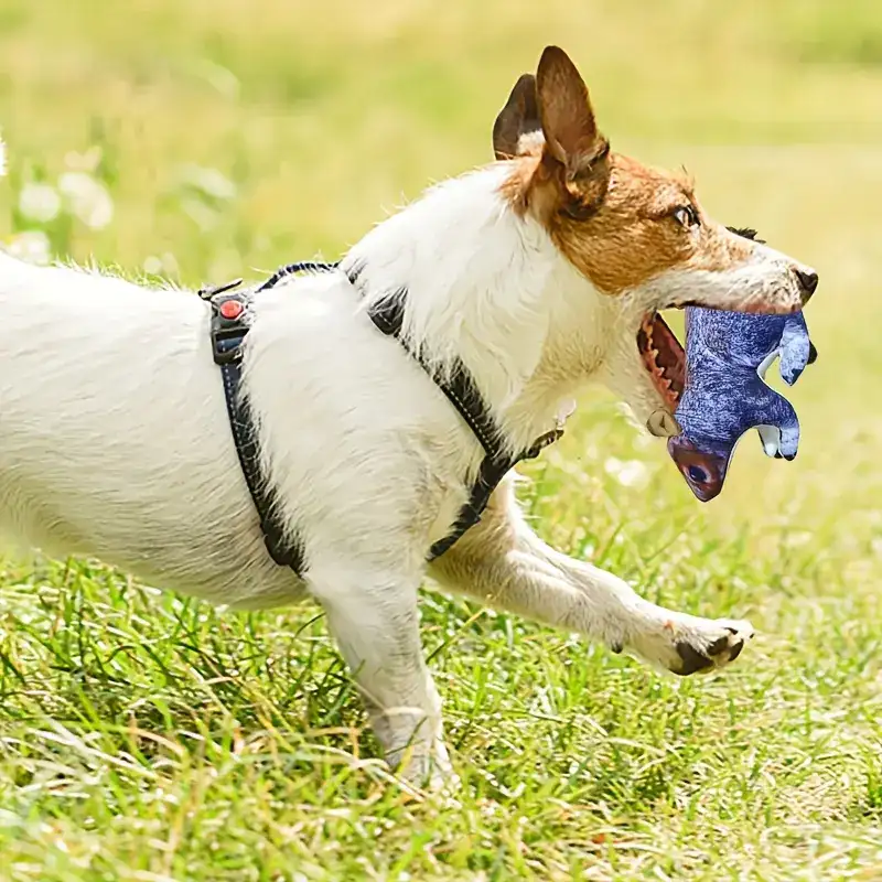 f5c5715944790daa6dd9e5c5389e6521 Interactive Squirrel Plush Dog Toy for Squeaking & Fetching with Durable Polyester Shell – main image